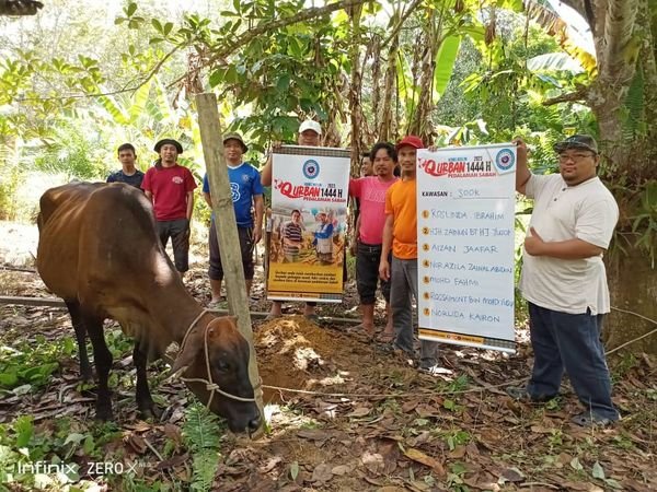 Qurban Pedalaman – Sook